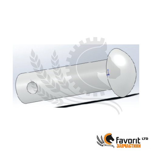 Photo - Rivet NWF 36.613