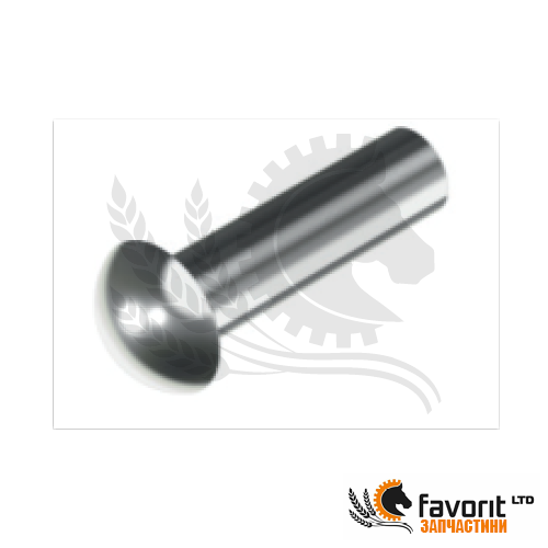 Photo - Rivet
